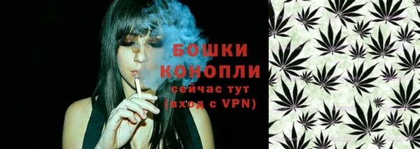 амф Горнозаводск