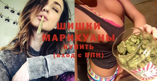 скорость Вяземский