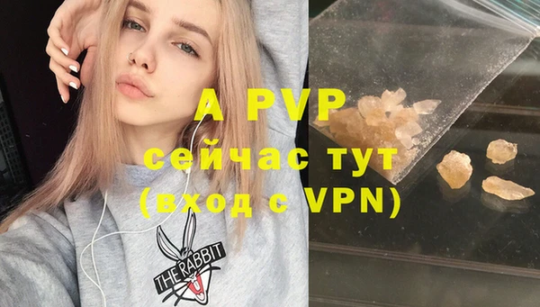 скорость Вяземский