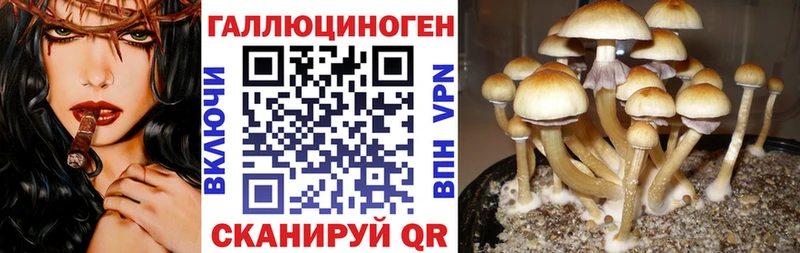 Галлюциногенные грибы GOLDEN TEACHER  купить наркотики сайты  Изобильный 